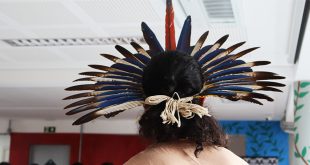 culturas-indigenas