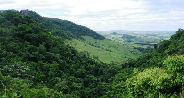 meio-ambiente