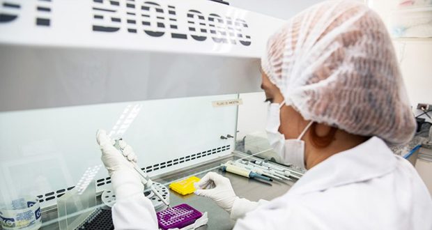 chikunguia