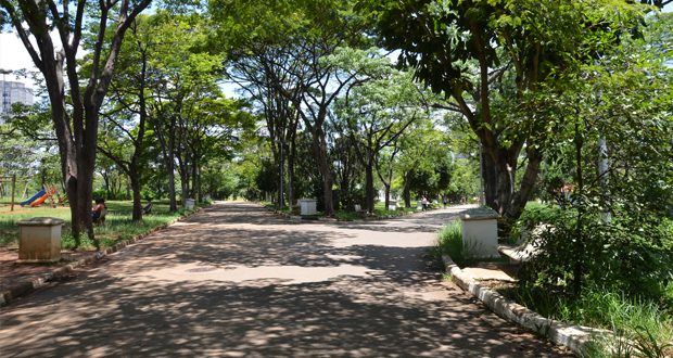 conselho-gestor